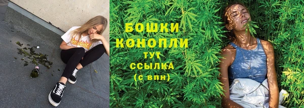 MDMA Новодвинск