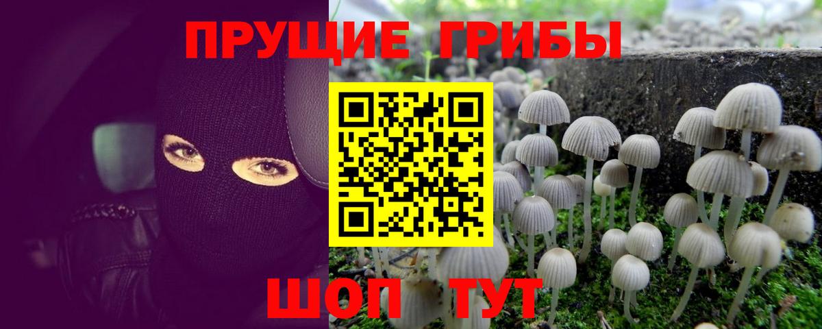 Псилоцибиновые грибы Psilocybine cubensis Радужный